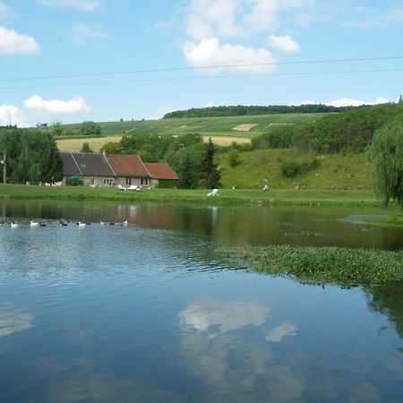 Domaine Du Moulin De L'Etang Bed and Breakfast Châtillon-sur-Marne Buitenkant foto