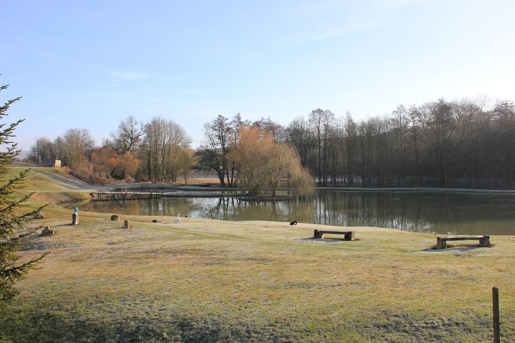 Domaine Du Moulin De L'Etang Bed and Breakfast Châtillon-sur-Marne Buitenkant foto