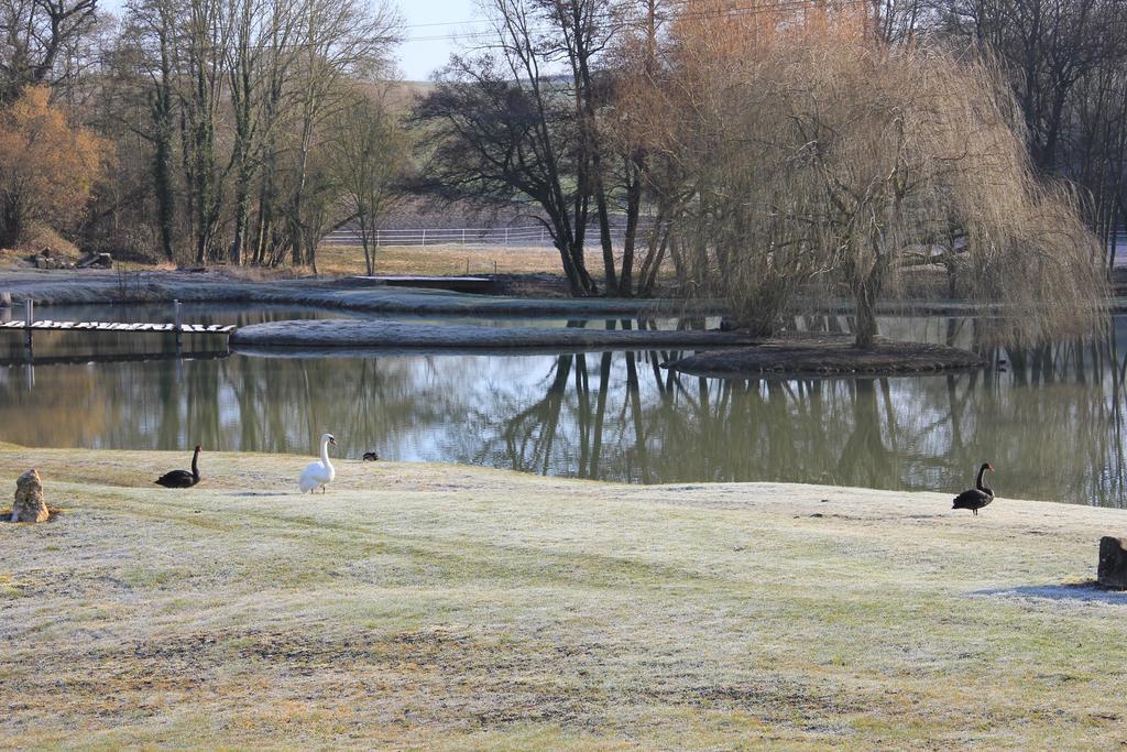 Domaine Du Moulin De L'Etang Bed and Breakfast Châtillon-sur-Marne Buitenkant foto