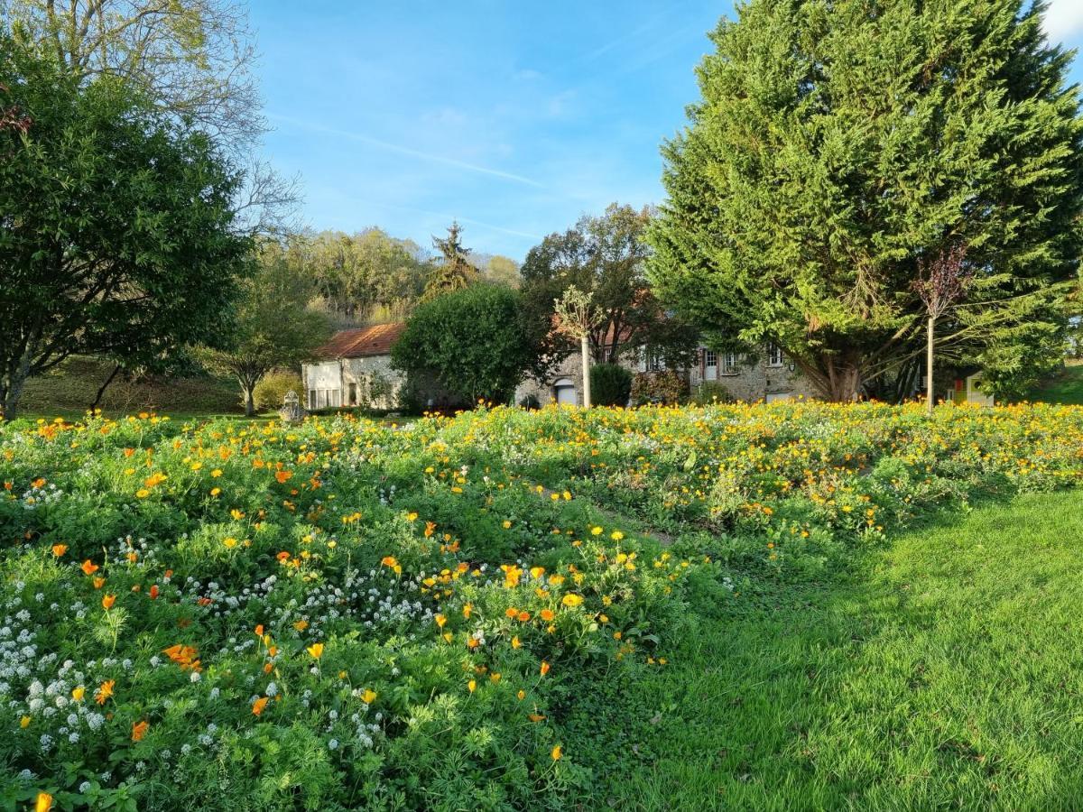 Domaine Du Moulin De L'Etang Bed and Breakfast Châtillon-sur-Marne Buitenkant foto