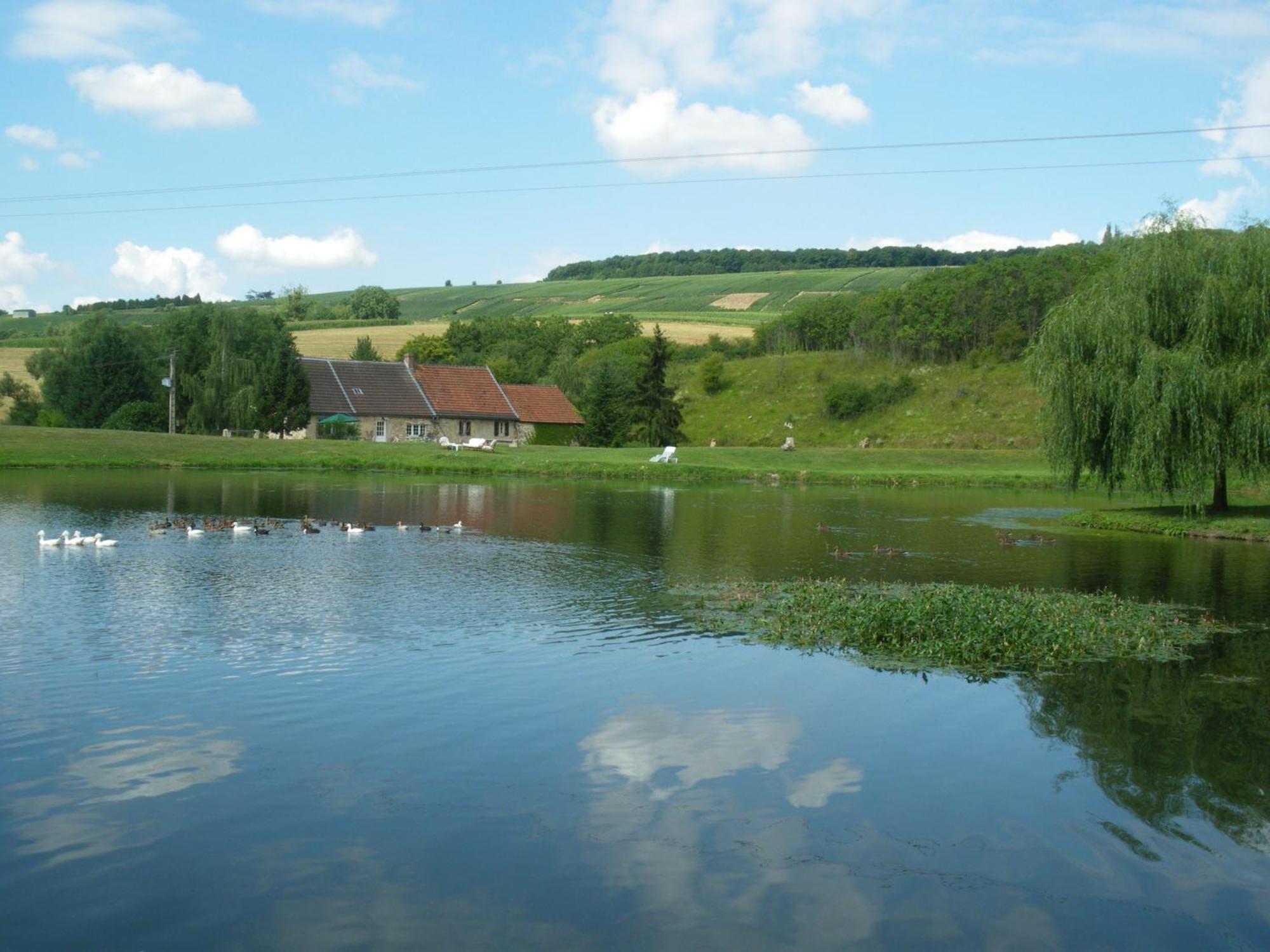 Domaine Du Moulin De L'Etang Bed and Breakfast Châtillon-sur-Marne Buitenkant foto