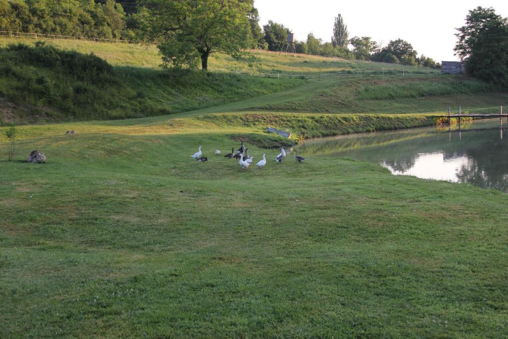 Domaine Du Moulin De L'Etang Bed and Breakfast Châtillon-sur-Marne Buitenkant foto